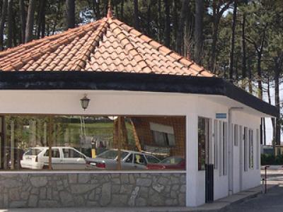 Camping Arvore